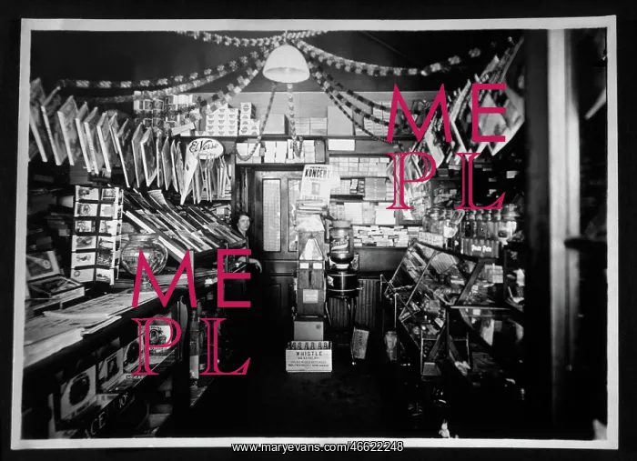 : Interior of a cigar store, Chicago, USA : Interior of a cigar store, Chicago, USA