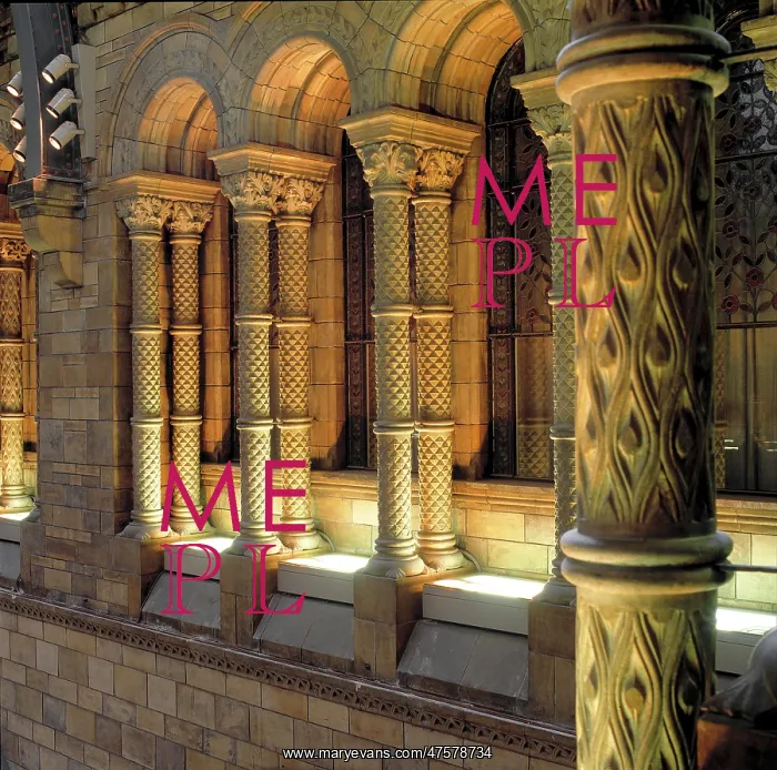 : Detail of interior columns, the Natural History Museum, Lond : Detail of interior columns, the Natural History Museum, Lond