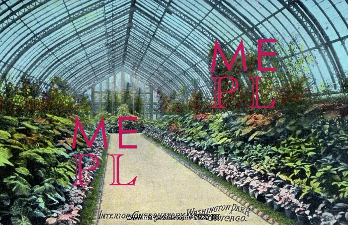 : Interior of the Conservatory, Washington Park, Chicago : Interior of the Conservatory, Washington Park, Chicago