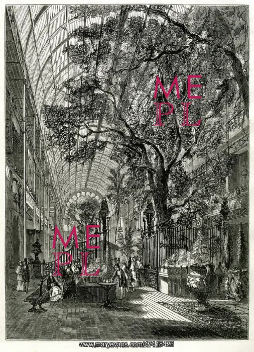 : Interior of the Great Exhibition 1851 : Interior of the Great Exhibition 1851