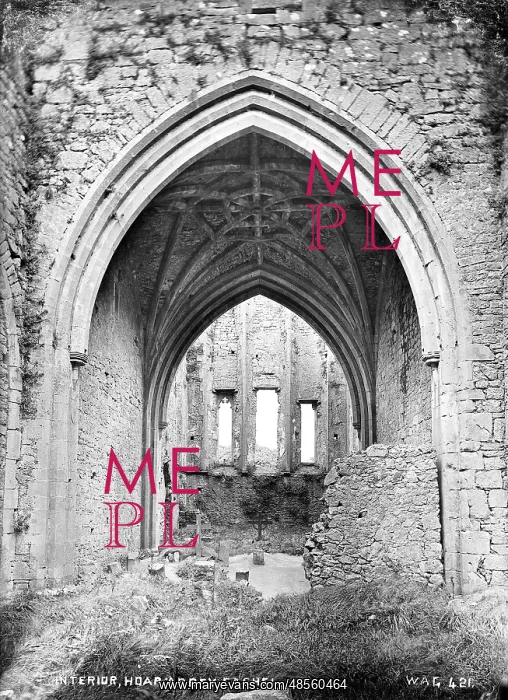 : Interior, Hoar Abbey, Cashel : Interior, Hoar Abbey, Cashel