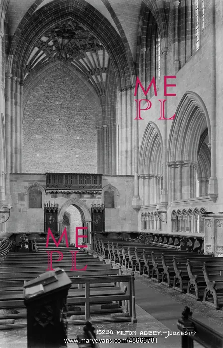 : Interior of Milton Abbey : Interior of Milton Abbey