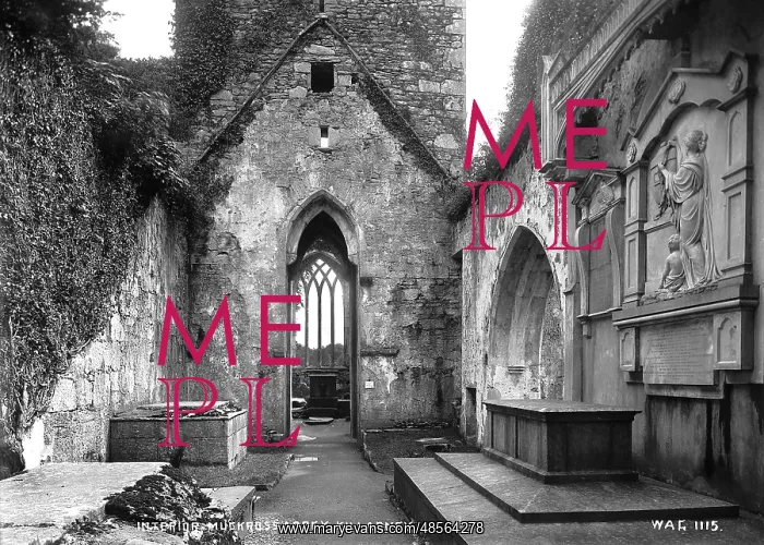 : Interior, Muckross Abbey, Killarney : Interior, Muckross Abbey, Killarney