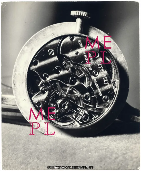 : INTERIOR OF POCKET WATCH : INTERIOR OF POCKET WATCH