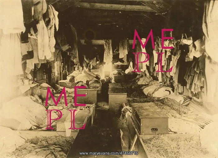 : Interior of a shack occupied by berry pickers. Anne Arundel : Interior of a shack occupied by berry pickers. Anne Arundel