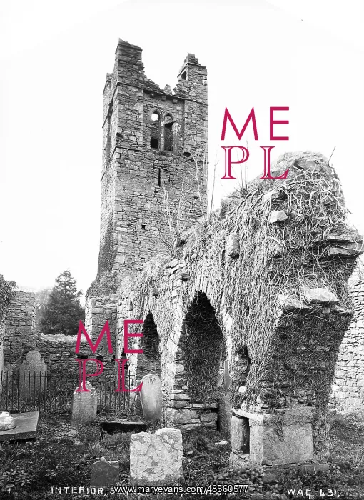 : Interior, Slane Abbey, Co Meath : Interior, Slane Abbey, Co Meath