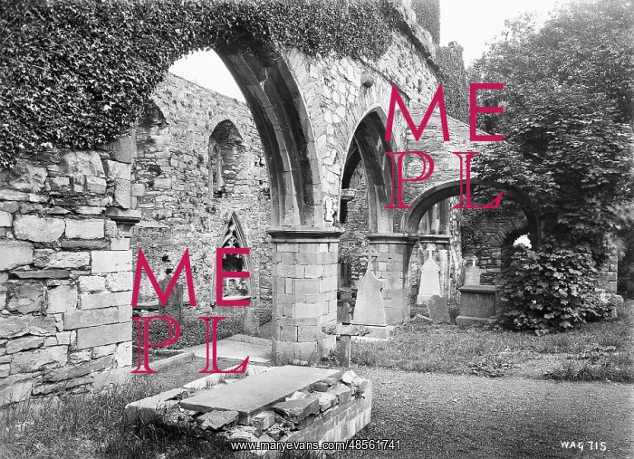 : Interior, Sligo Abbey : Interior, Sligo Abbey