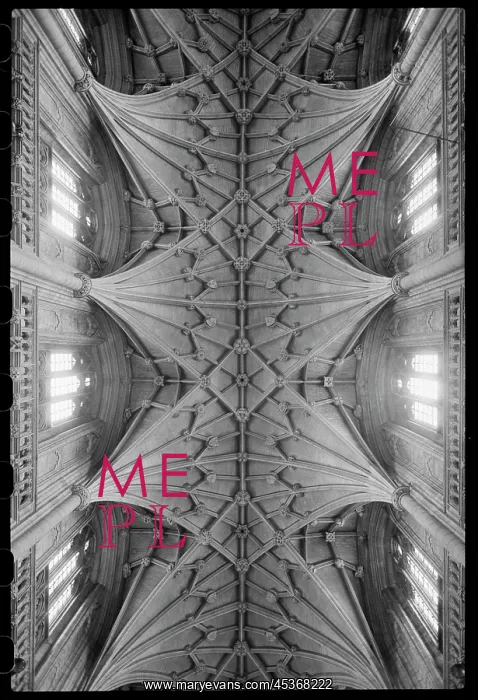 : Interior view of the cathedral, focusing on the nave ceiling : Interior view of the cathedral, focusing on the nave ceiling