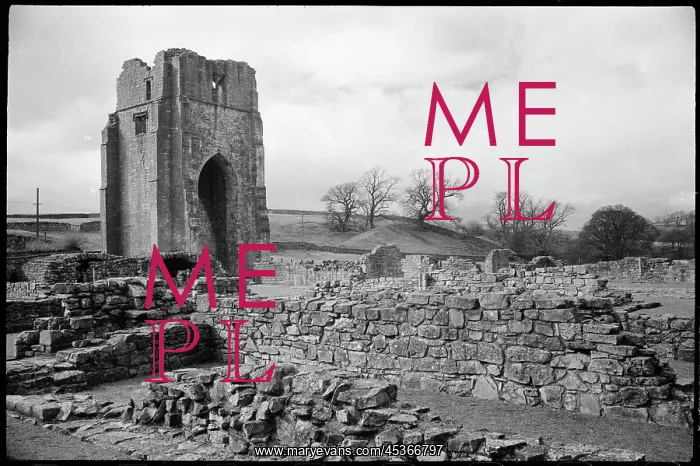 : An interior view of Shap Abbey, showing the low : An interior view of Shap Abbey, showing the low