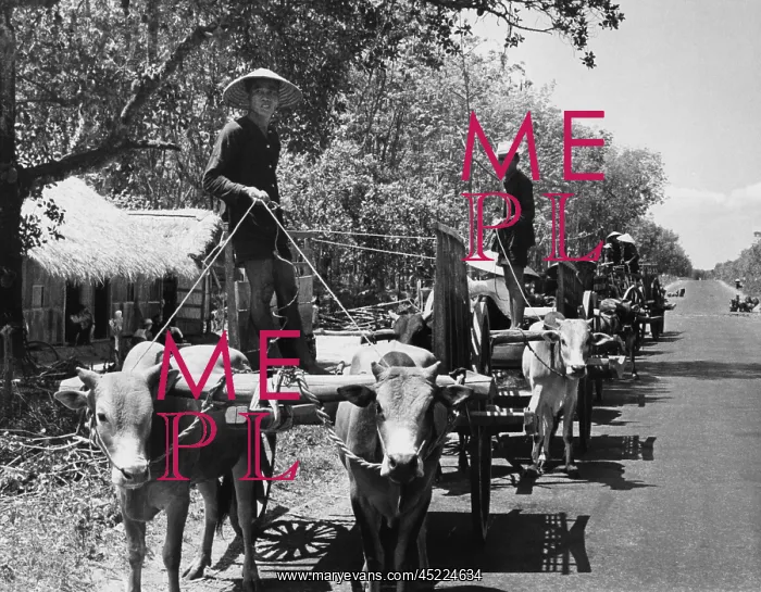 : Internal South Vietnamese refugees. Vietnamese ? : Internal South Vietnamese refugees. Vietnamese ?