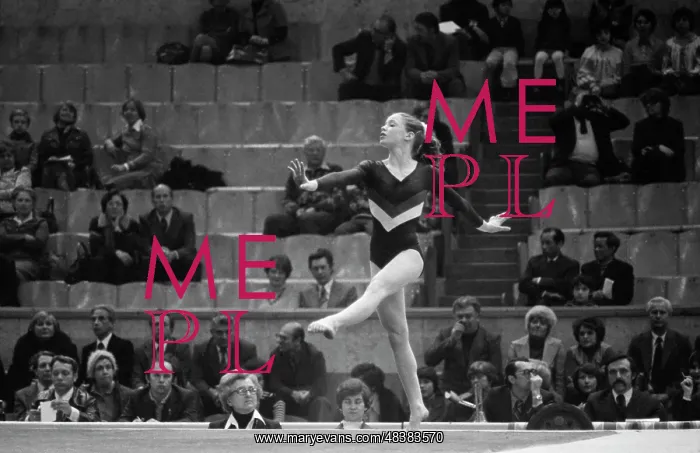 : International competition in artistic gymnastics : International competition in artistic gymnastics