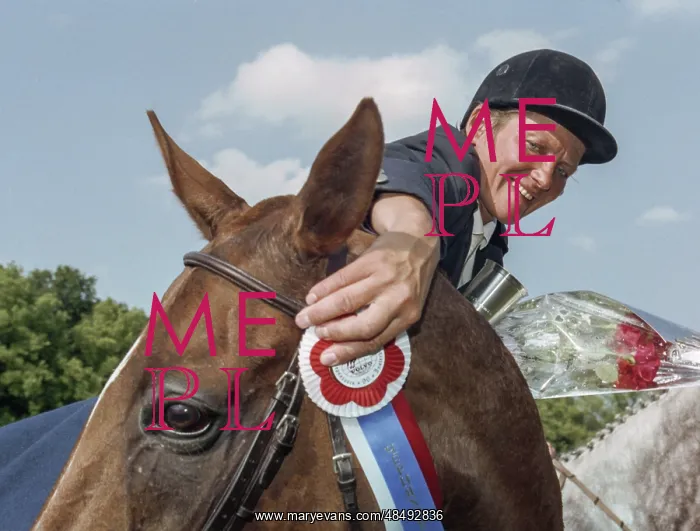 : International equestrian tournament : International equestrian tournament