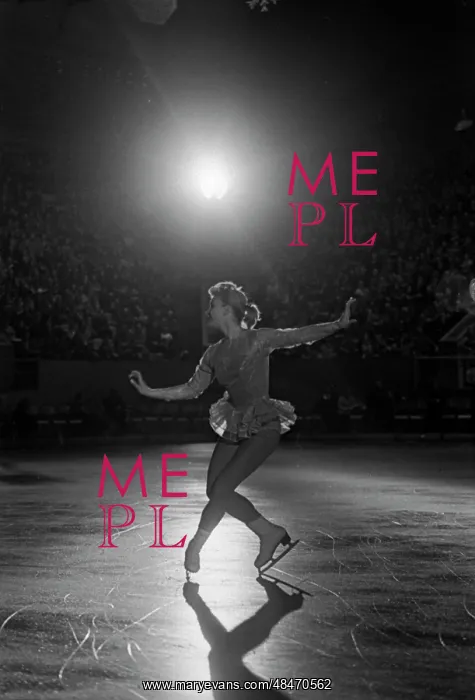 : International Figure Skating Championship : International Figure Skating Championship
