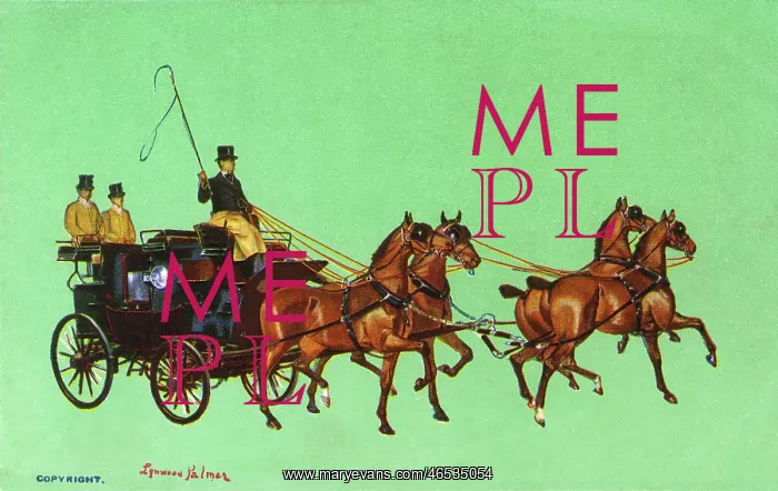 : International Horse Show - Olympia : International Horse Show - Olympia