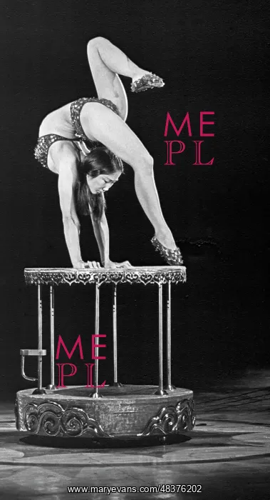: International program Circus festival today : International program Circus festival today
