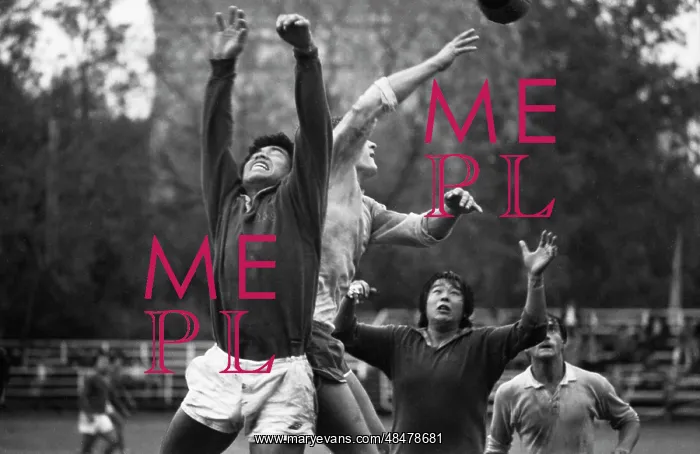 : International Rugby Tournament : International Rugby Tournament
