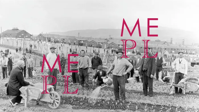 : Internment Camp for German residents in England : Internment Camp for German residents in England