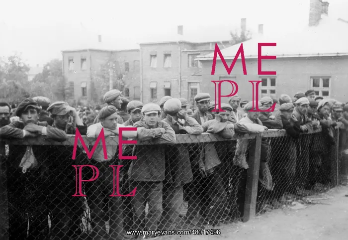 : Internment of the male population of Moseiska, 1941 : Internment of the male population of Moseiska, 1941