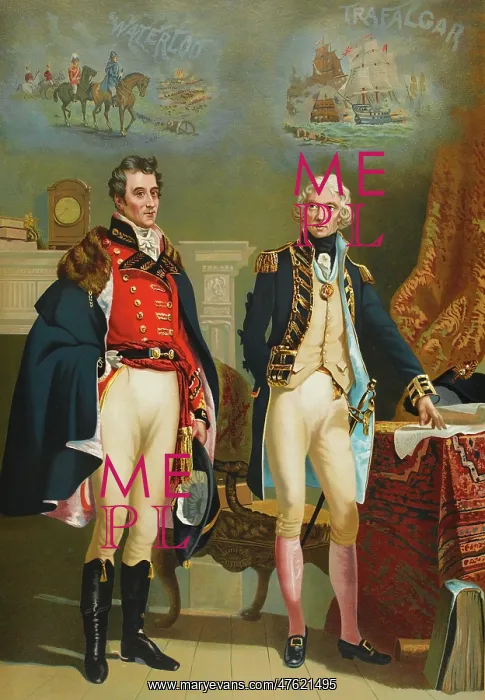 : Only interview between the Commanders, Wellington and Nelson : Only interview between the Commanders, Wellington and Nelson