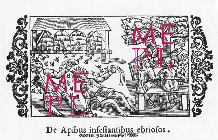 : INTOXICATED BEES : INTOXICATED BEES