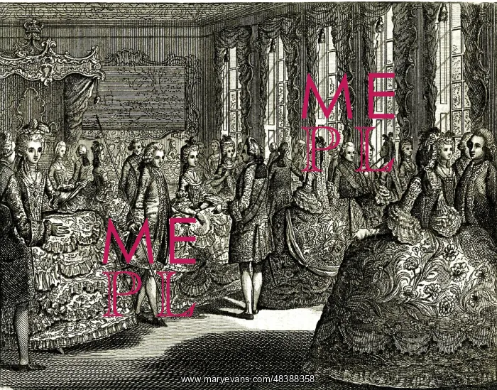 : Introducing a Lady to Her Majesty Queen Charlotte : Introducing a Lady to Her Majesty Queen Charlotte