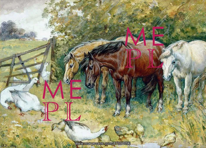 : The Intruders ' geese and ponies : The Intruders ' geese and ponies