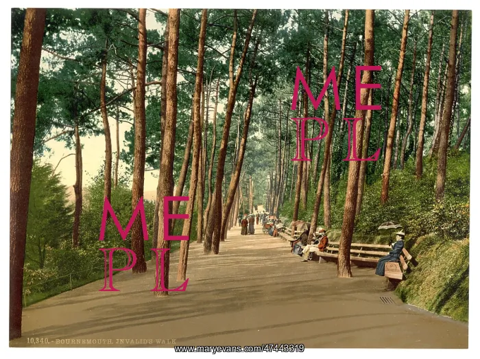 : Invalids walk, Bournemouth, England : Invalids walk, Bournemouth, England