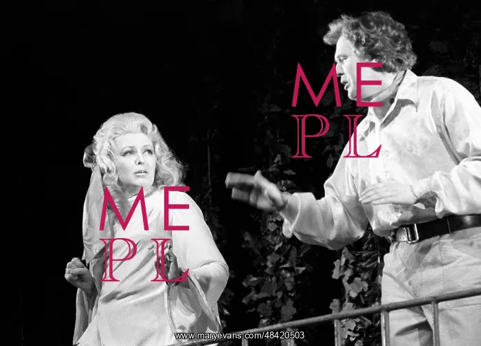: Invitation into a castle performance, 1972 : Invitation into a castle performance, 1972