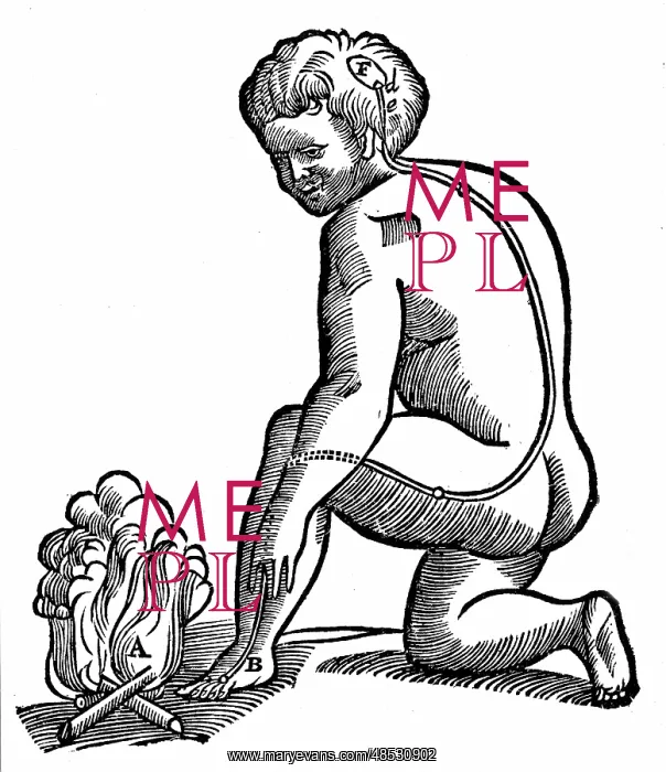 : Involuntary movement. Descartes idea of how impulses : Involuntary movement. Descartes idea of how impulses