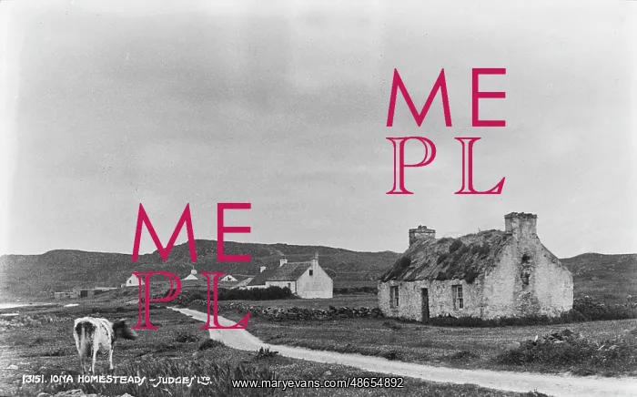 : Iona Homestead : Iona Homestead