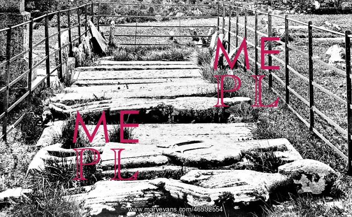  : Iona, the tombs of the MacLeans 1903