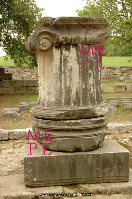  : Ionic column