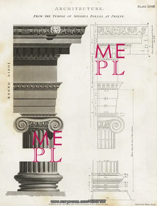 : Ionic column from the temple of Minerva Polias at Priene : Ionic column from the temple of Minerva Polias at Priene