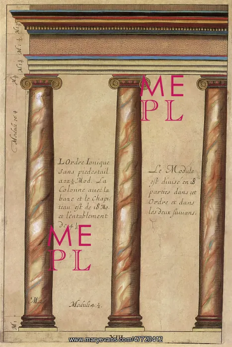  : Ionic Columns