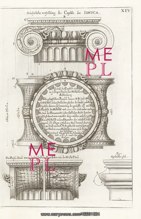 : Ionic order capital : Ionic order capital