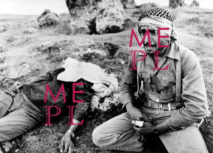 : Iran - Irak Krieg : Iran - Irak Krieg