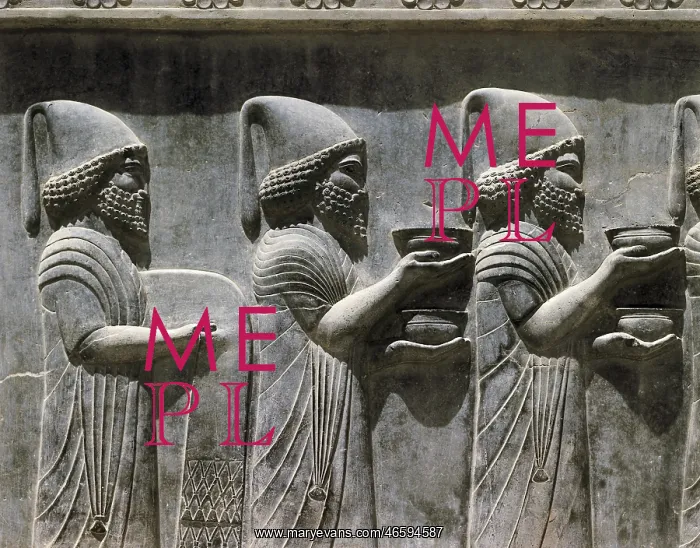 : IRAN. Persepolis. Palace of Darius. Cortege of : IRAN. Persepolis. Palace of Darius. Cortege of