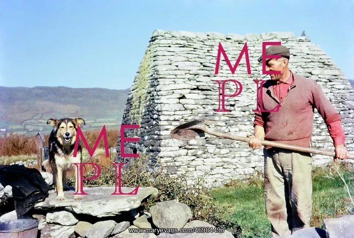 : Ireland in Colour : Ireland in Colour