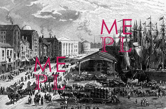 : Ireland, Dublin, docks, wood engraving after : Ireland, Dublin, docks, wood engraving after