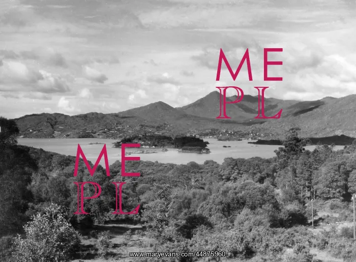 : IRELAND / GLENGARRIFF : IRELAND / GLENGARRIFF