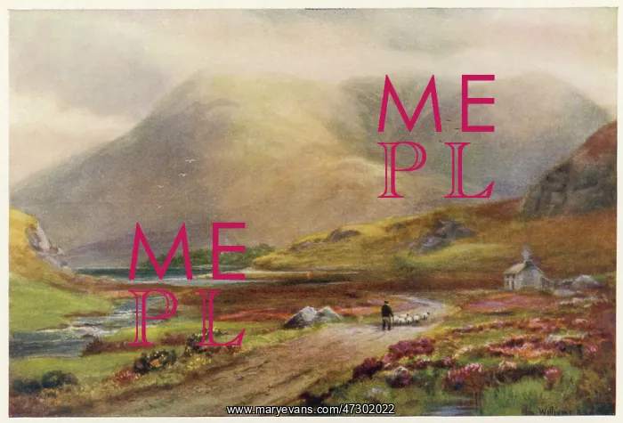 : Ireland - Pass of Delphi : Ireland - Pass of Delphi