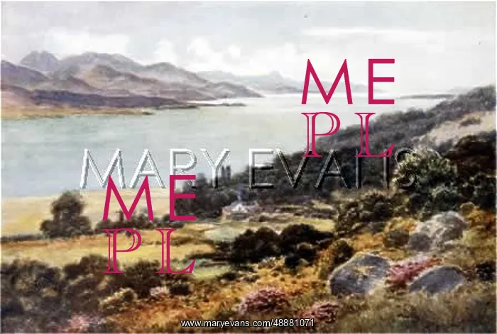 : IRELAND / SCENERY / KENMARE : IRELAND / SCENERY / KENMARE