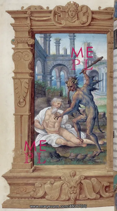 : Irgin Mary's book of hours : Irgin Mary's book of hours