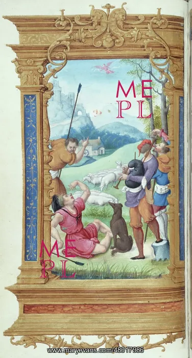 : Irgin Mary's book of hours : Irgin Mary's book of hours