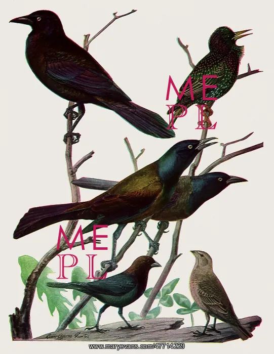  : Iridescent Birds