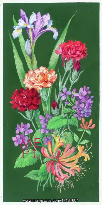  : Iris, carnation and honeysuckle on a green background
