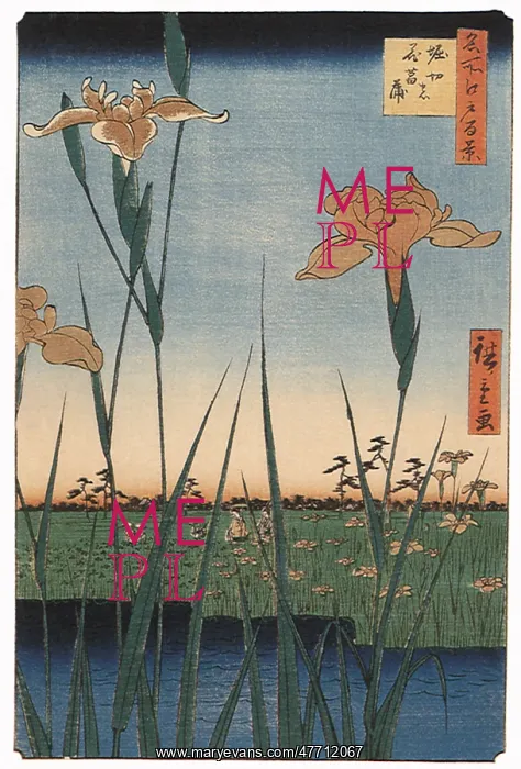  : The Iris Gardens, by Hiroshige