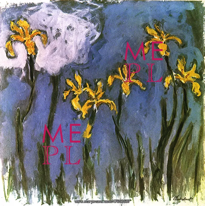  : Iris, by Monet