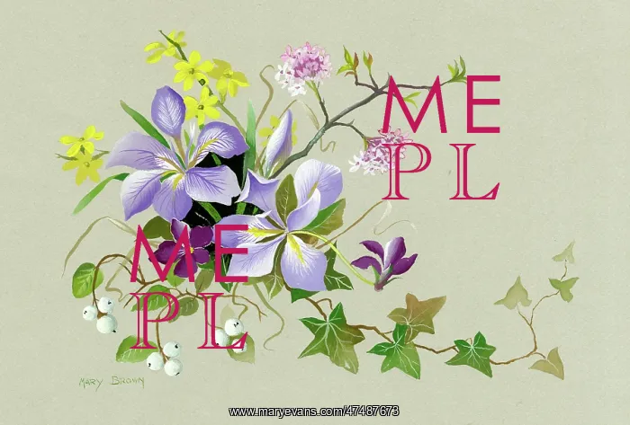  : Iris stylosa, winter jessamine, violets, snowberries etc