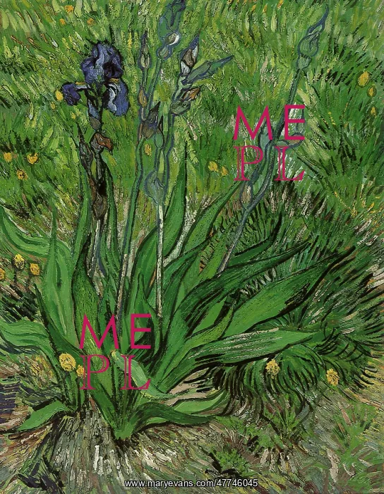  : The Iris, by Van Gogh